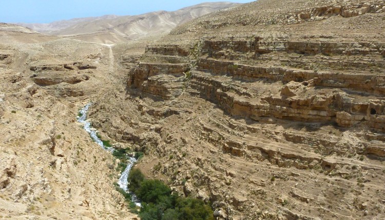 Judean Wilderness
